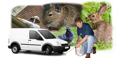 Pontefract local van